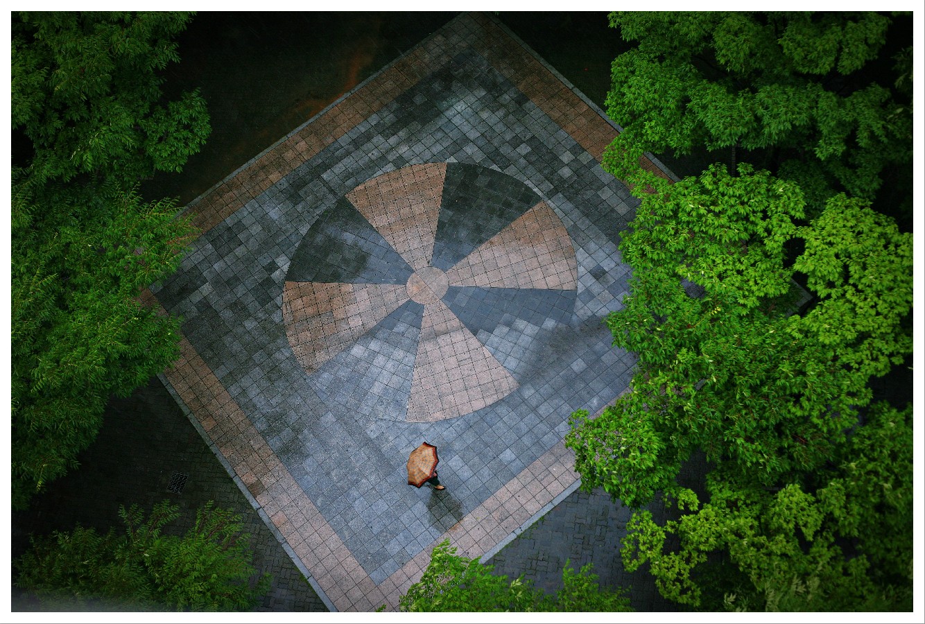 Bronze prize - Kim Jiyeong – Morning in June